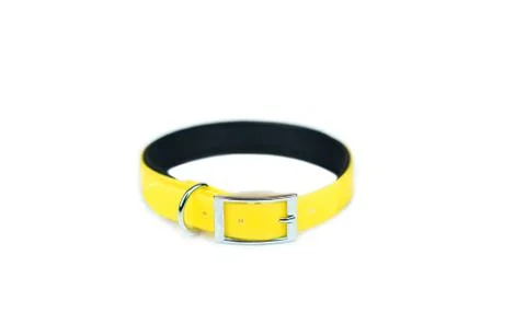 Pet collars isolated on white background.  Pet accessories concept Stock Photos