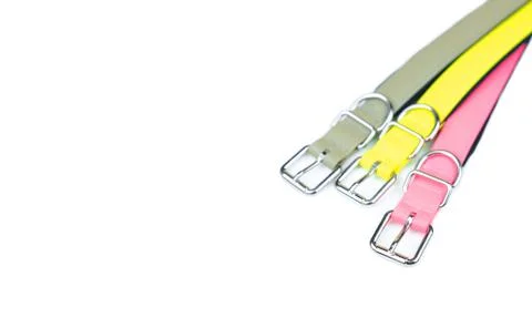 Pet collars isolated on white background.  Pet accessories concept Stock Photos