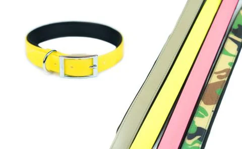 Pet collars isolated on white background.  Pet accessories concept Stock Photos