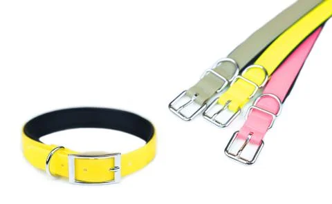 Pet collars isolated on white background.  Pet accessories concept Foto stock
