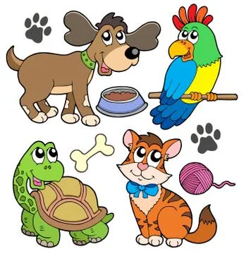 Pet collection Stock Illustration