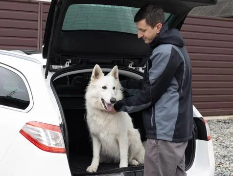 Pet concept Stock Photos