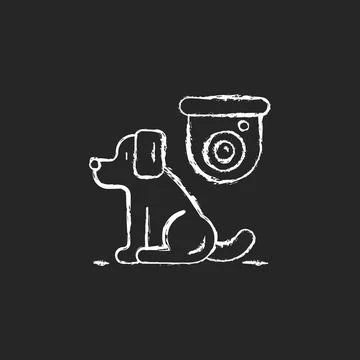 Pet control camera chalk white icon on dark background Stock Illustration