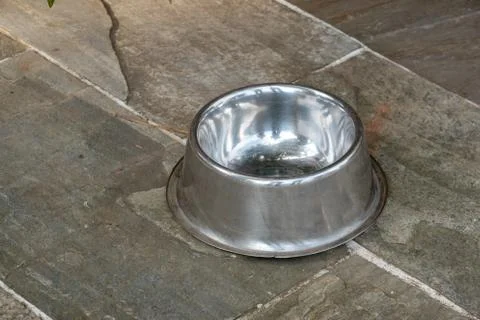 Pet Dish Sitting on the Ground Stock Photos