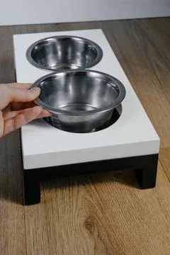 Pet dish on wood table. Rustic wood dish stand crafted from scrap Stock Photos