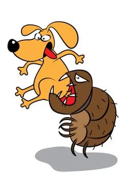 Pet dog flea infestation attack Stock Illustration