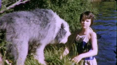 PET DOG SWIMMING GIRL 1960 (Vintage Old Home Movie Film Footage) 1978 Stock Footage