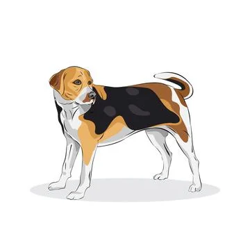 Pet dog. Vector image illustration. Stock Illustration