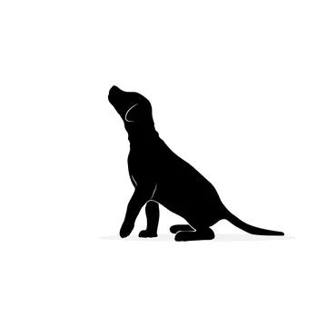 Pet dog. Vector image silhouette Stock Illustration