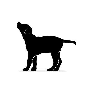 Pet dog. Vector image silhouette Stock Illustration