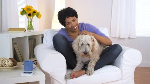 Pet dog walking away from owner Stock Footage