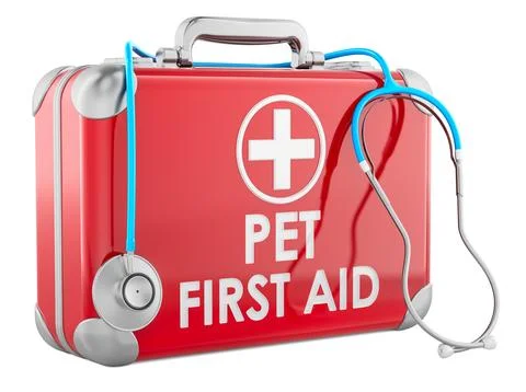Pet First Aid Kit concept with red first aid kit and stethoscope, 3D renderin Stock Illustration