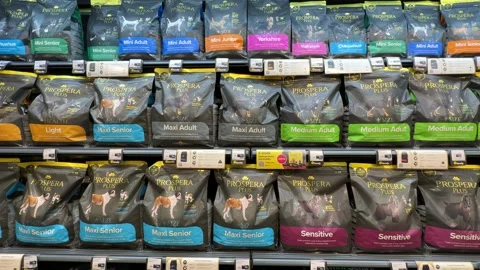 Pet food selection in a pet store supermarket, variety of dog food and cat food 스톡 동영상 266681007