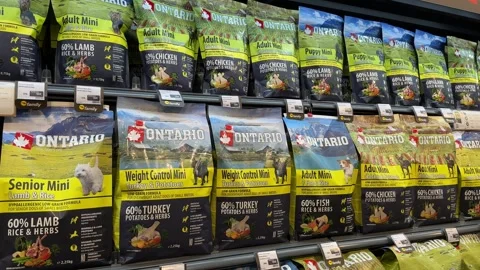 Pet food selection in a pet store supermarket, variety of dog food and cat food Video stock 266681034