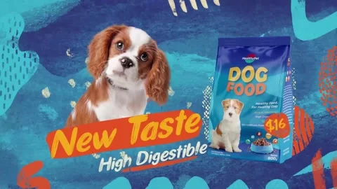 Pet Food Slideshow After Effects stock