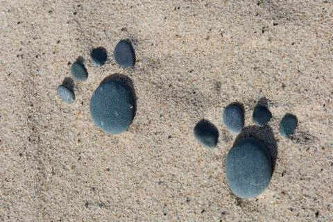 Pet Friendly Beach Stock Photos