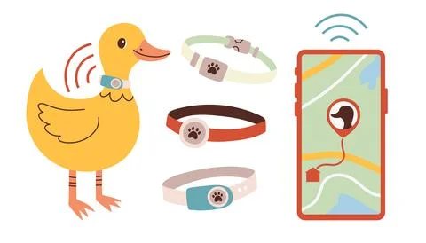 Pet GPS tracker. GPS tracking for duck, goose. A smartphone with a map shows the Stock Illustration