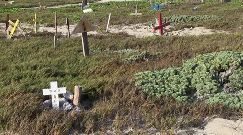 Pet Graves by the Sea Stockbeeldmateriaal 25657058