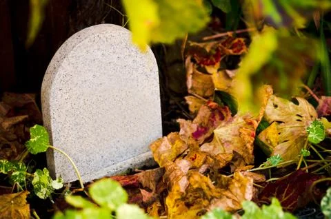 Pet headstone Stock Photos