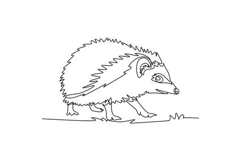 Pet hedgehog walking steadily forward with sharp quill and alert snout Ilustração Stock