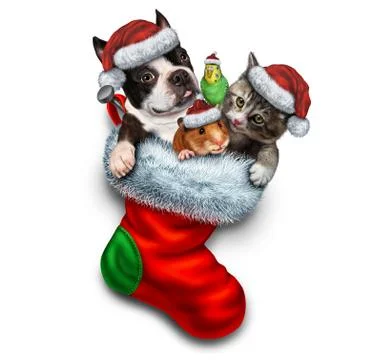 Pet Holiday Stocking 库存插图