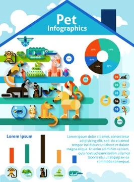 Pet Infographics Set Stockillustratie