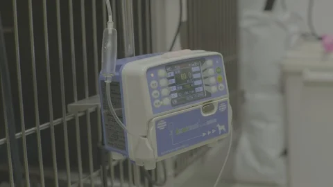 Pet infusion set 스톡 동영상 126395484