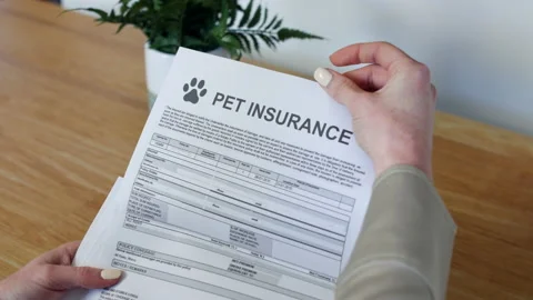 Pet insurance policy document A Stock Video Pond5