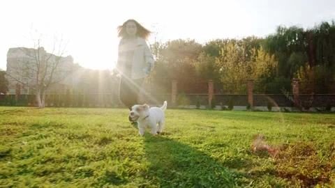 Pet Jack Russell Terrier dog happily runs with a girl on the grass in a nature Stock Footage 143041253