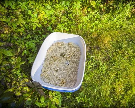 Pet litter with a poo inside Stock Photos