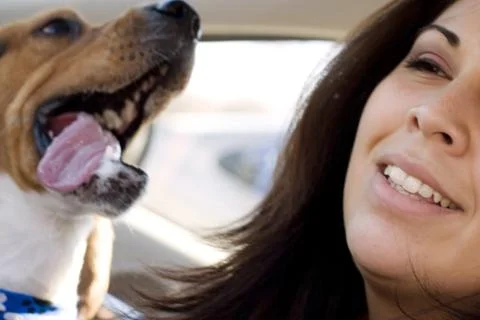 Pet lover Stock Photos