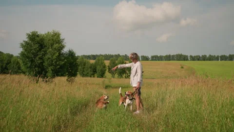 Pet Lover Playfully Instructing Dog to Turn Around in Grassy Field on Sunny Day 스톡 동영상 291878767