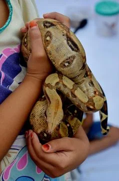 Pet lovers Fotos Stock