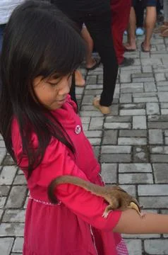 Pet lovers Stock Photos