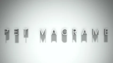 Pet macrame 3D title animation with shadows on a white background Stock Footage 296976188