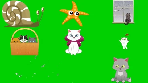 Pet mix on green screen featuring snail starfish window basket cat dog leaf Stock Footage 334704356