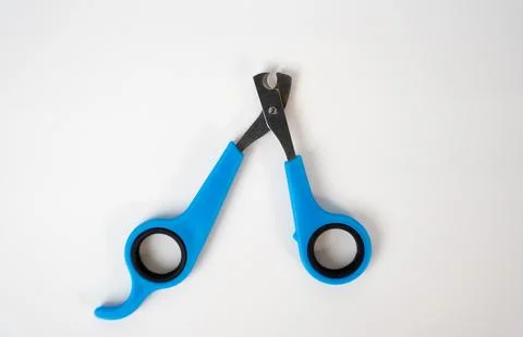 Pet Nail Scissors on White Background Stock Photos