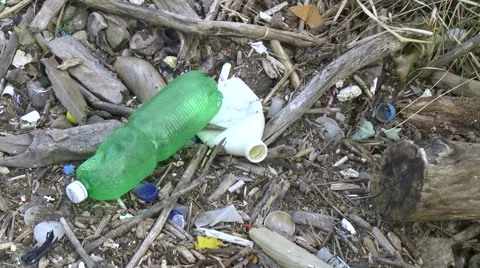 PET in nature Stock Footage 62788897