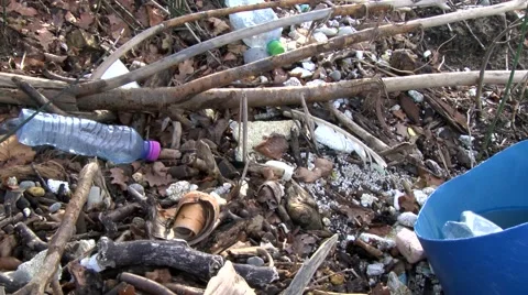 PET - Nature Stock Footage 62789257