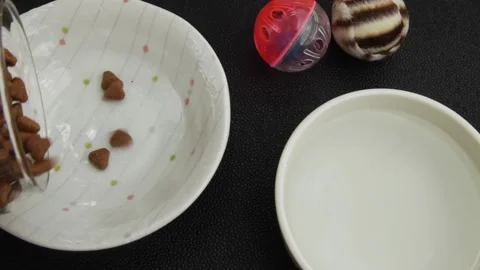 Pet owner adding dry cat food to an empty bowl next to some water and toys Stock Footage 160791232