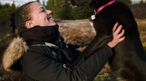 Pet owner with dog Stock Footage 53087756