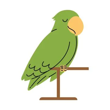 Pet parrot icon Stock Illustration