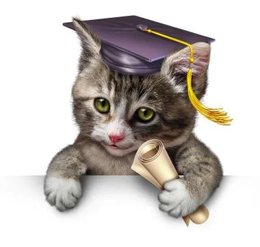 Pet school 스톡 일러스트