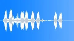 Pet Shop Agitated BirdsSound Effect