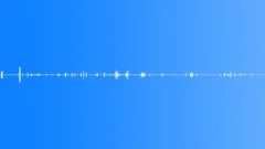 Pet shop parrotsSound Effect