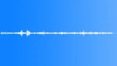 PET SHOPSound Effect