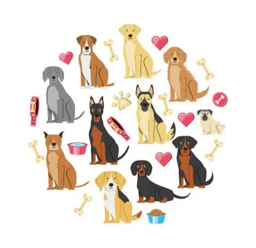 Pet shop veterinary elements Stock Illustration