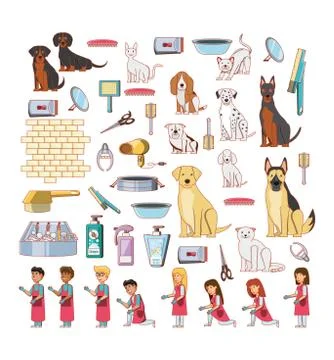 Pet shop veterinary elements Illustrazione stock
