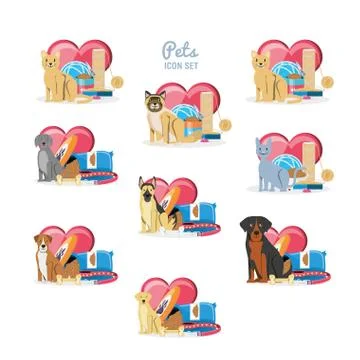 Pet shop veterinary elements イラスト素材