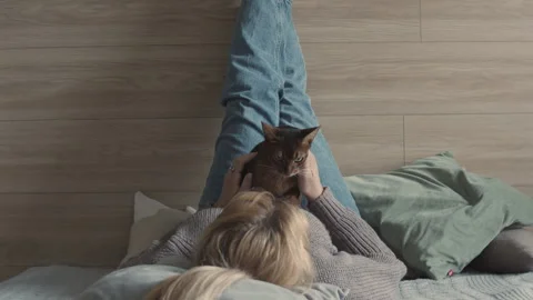 Pet Sitter. Stock Footage 248217841